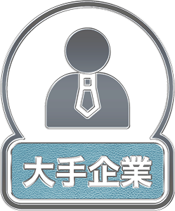 上場・大手企業勤務